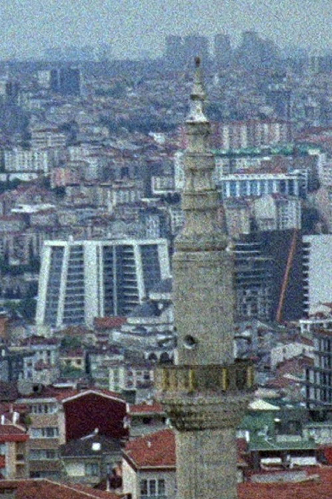 Belgrade Forest Incident …and What Happened to Mr. K? Backdrop