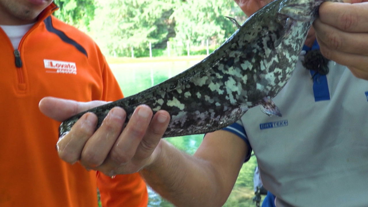 Destinazione Pesca — Épisode 7