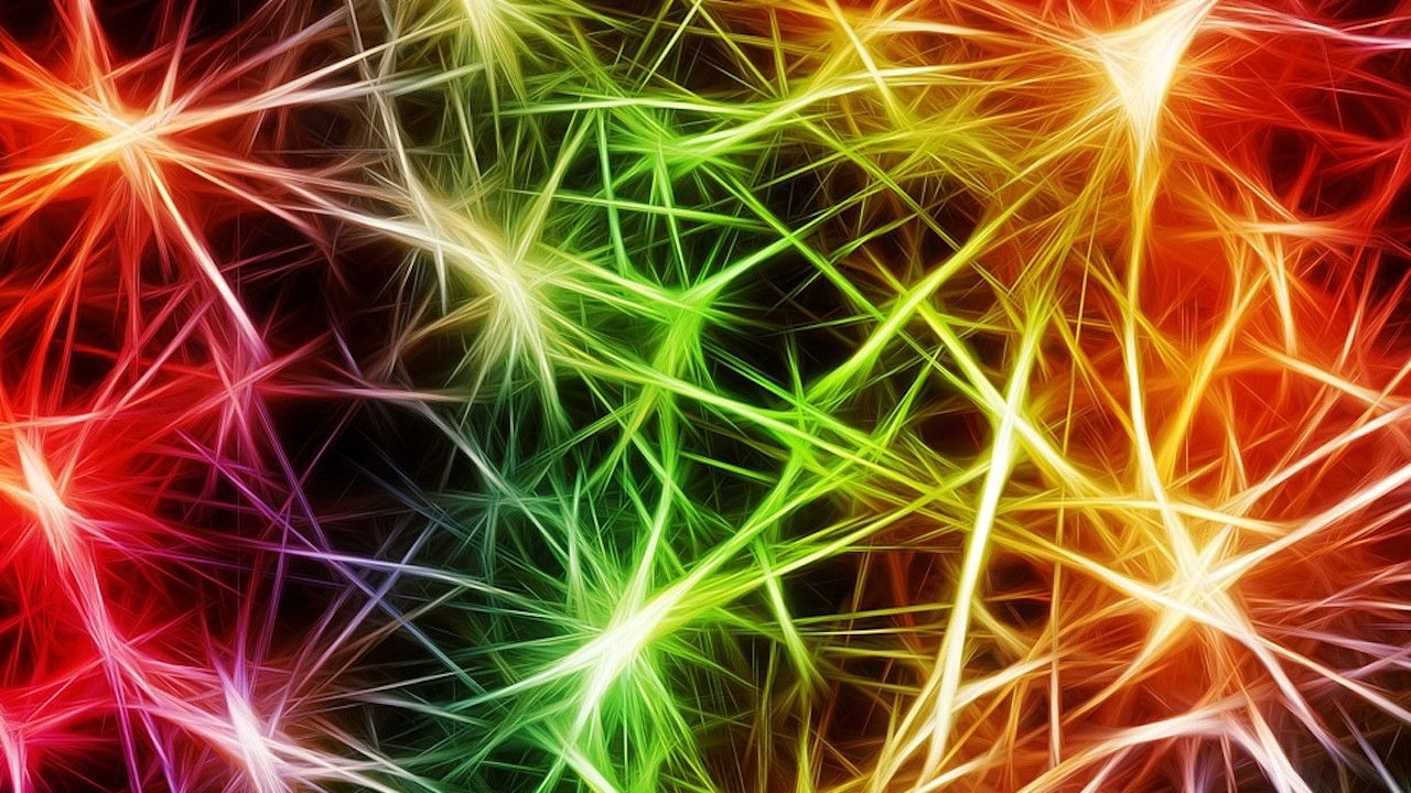 Speciale Superquark — Épisode 2