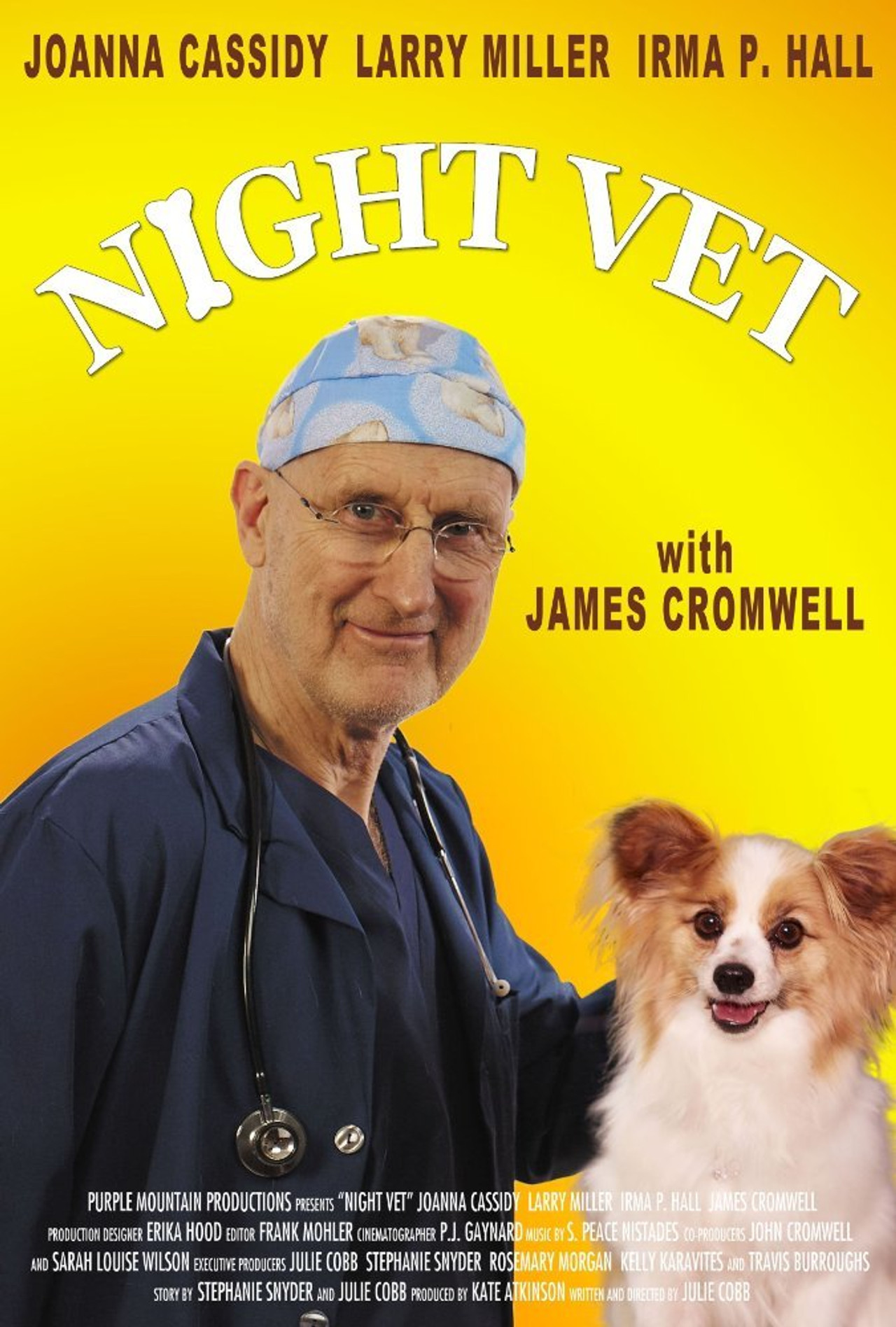 Night Vet Backdrop