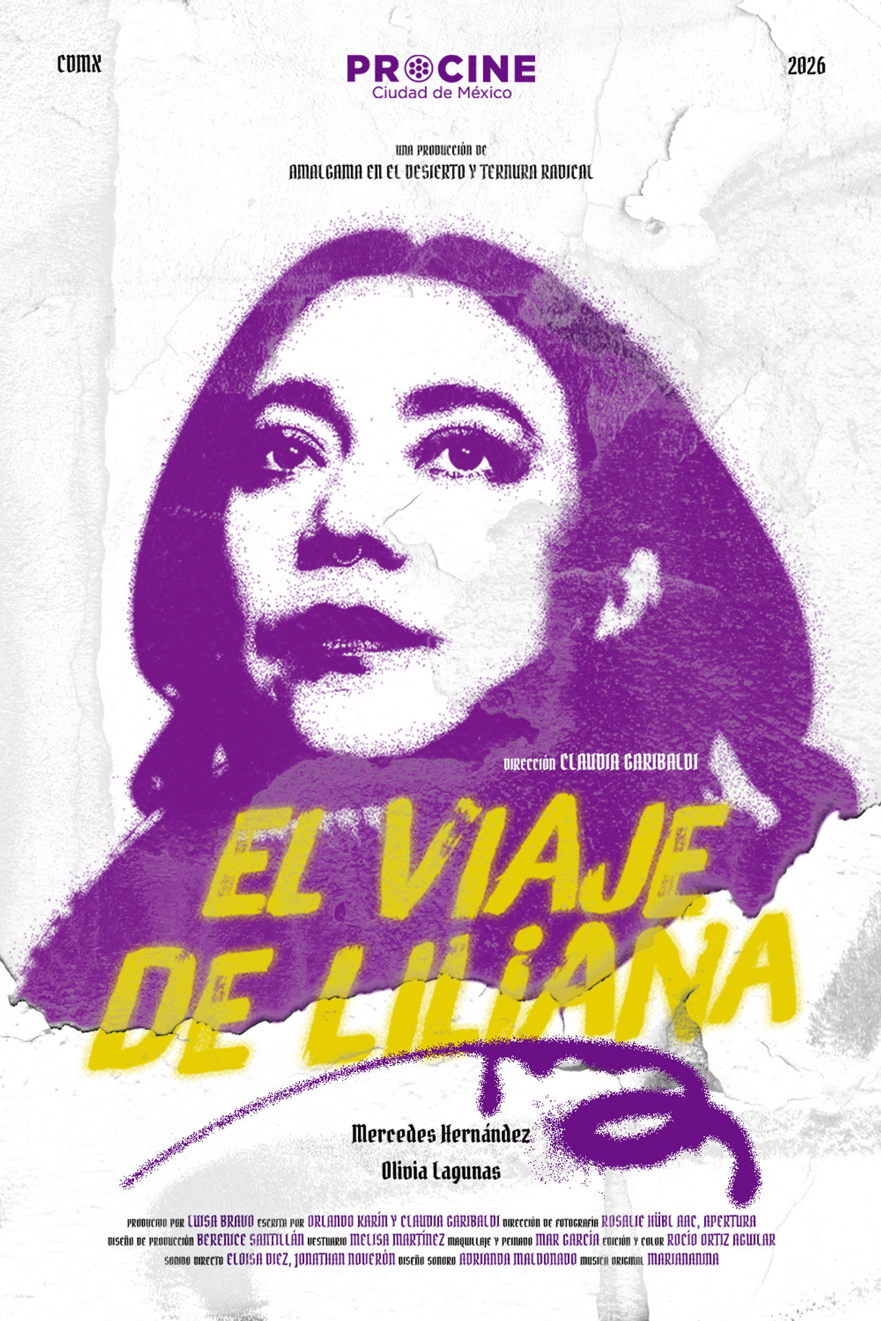 El viaje de Liliana filmaffisch