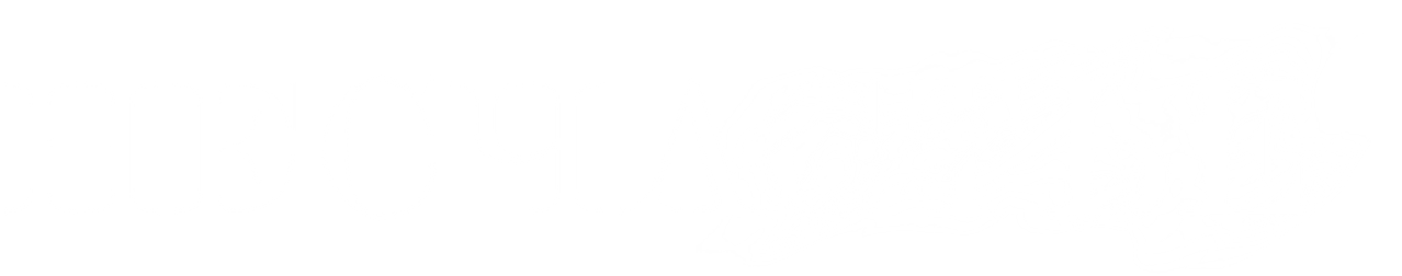The Accident