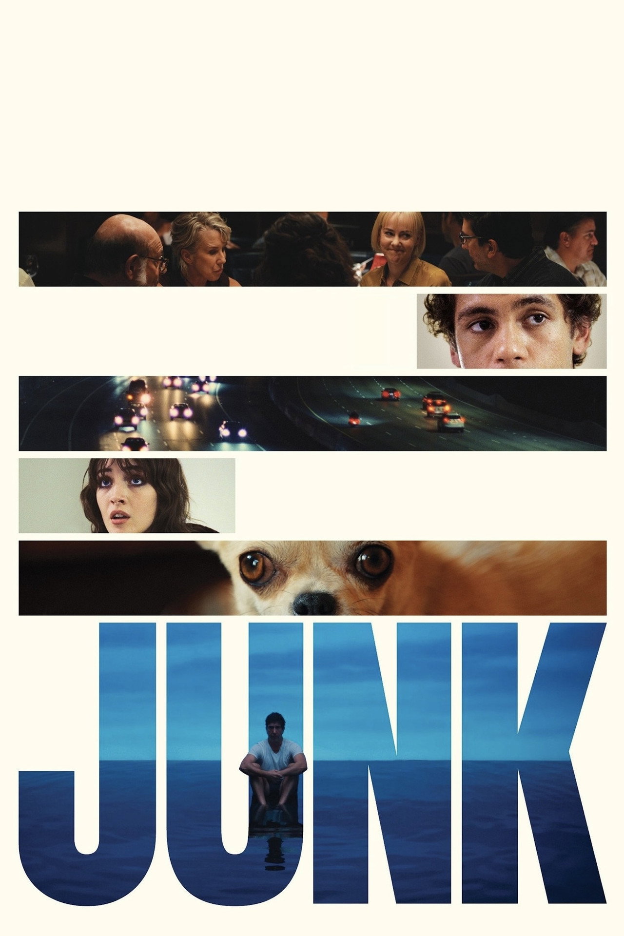 Junk poster