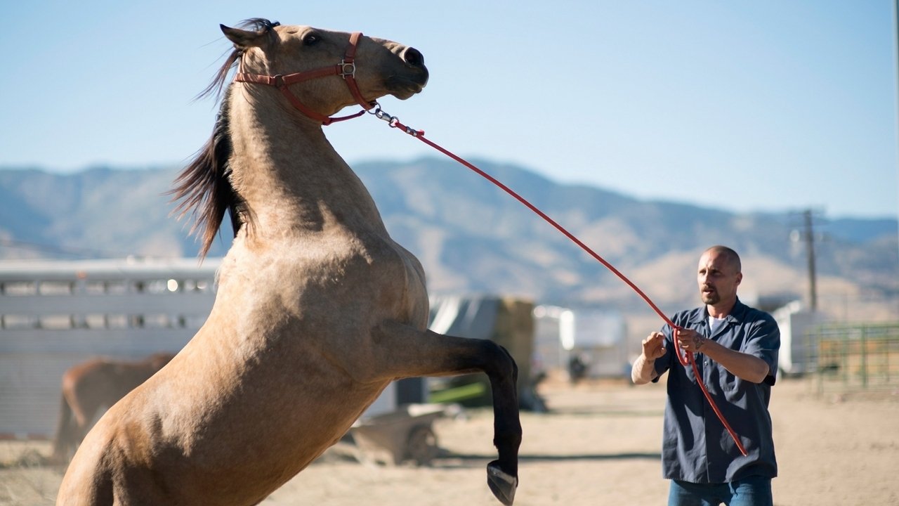 Regarder Nevada Film Complet VF En Français