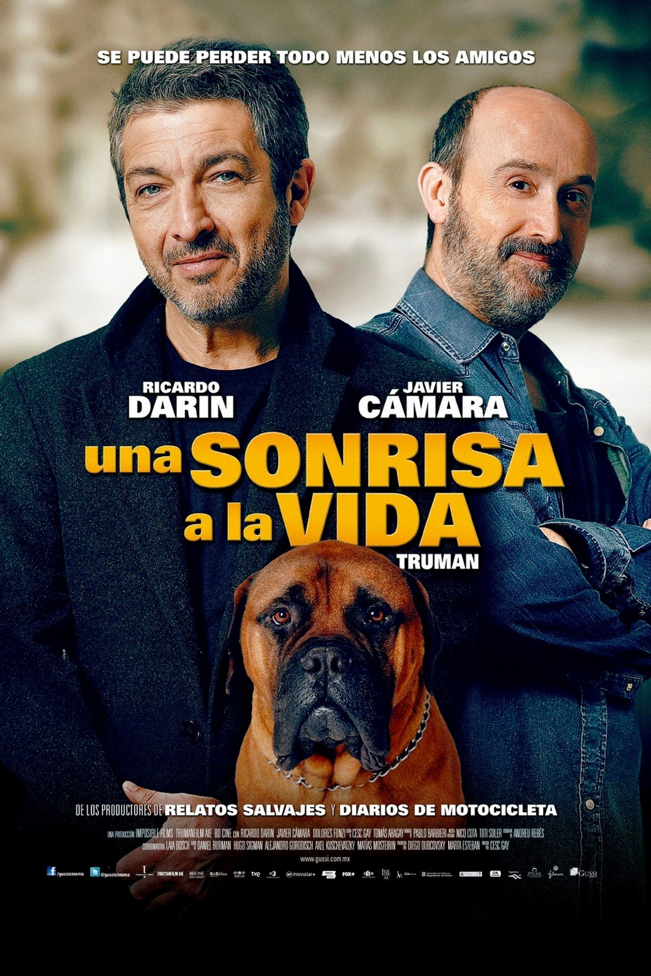 posters 15
