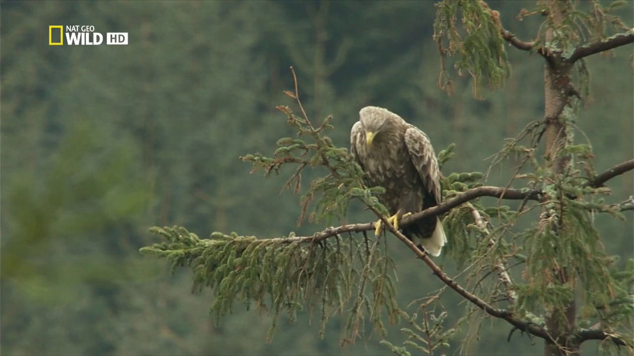 Wild Scotland: The Western Isles — Épisode 2