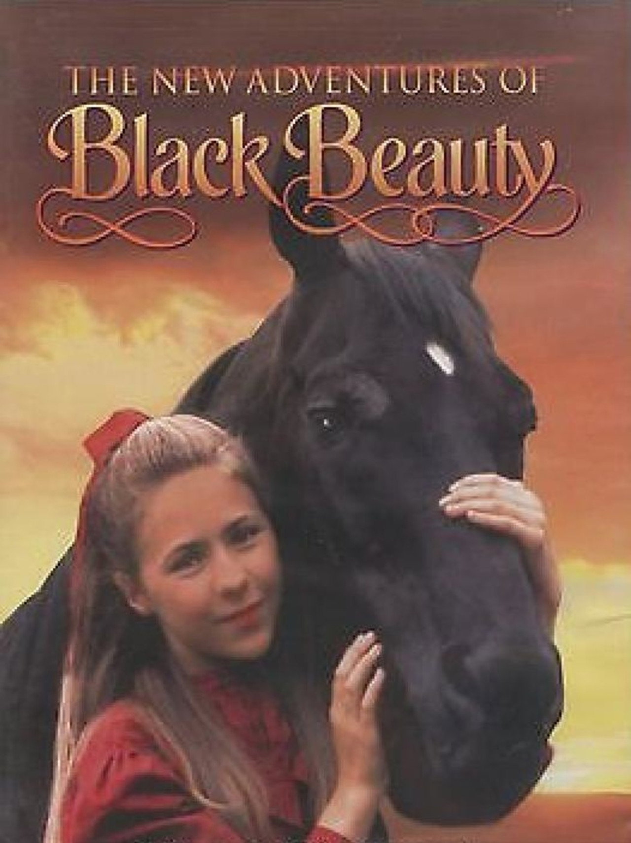 The New Adventures of Black Beauty still 4