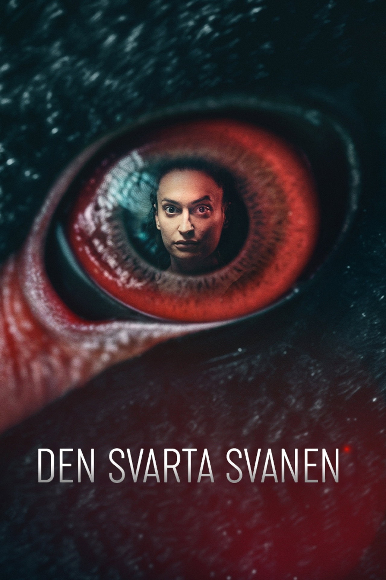 Den svarta svanen affisch