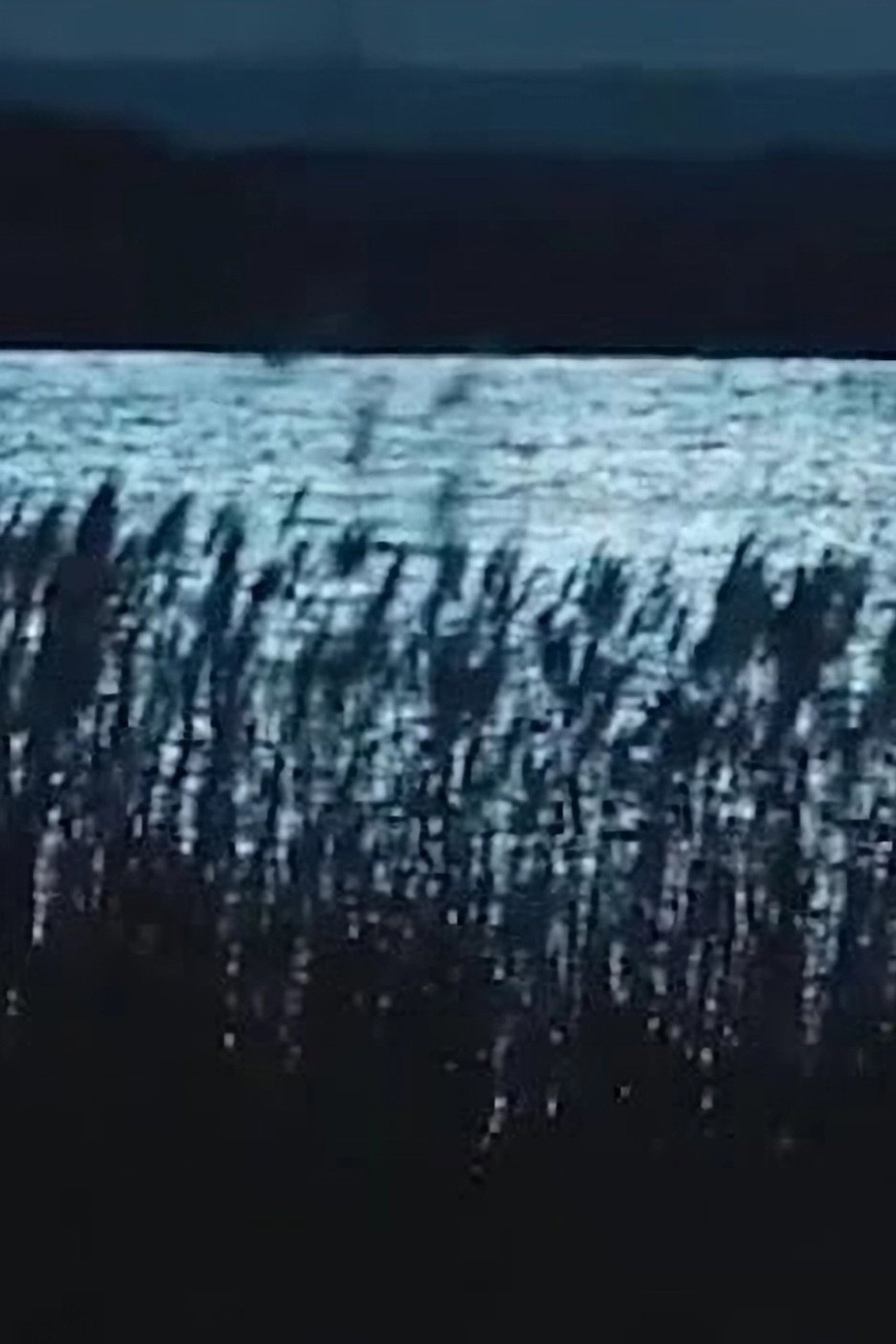 -Pursuit.Strati.Illustri.: Musica dagli Ultimi Giochi & Vocali Errate filmaffisch
