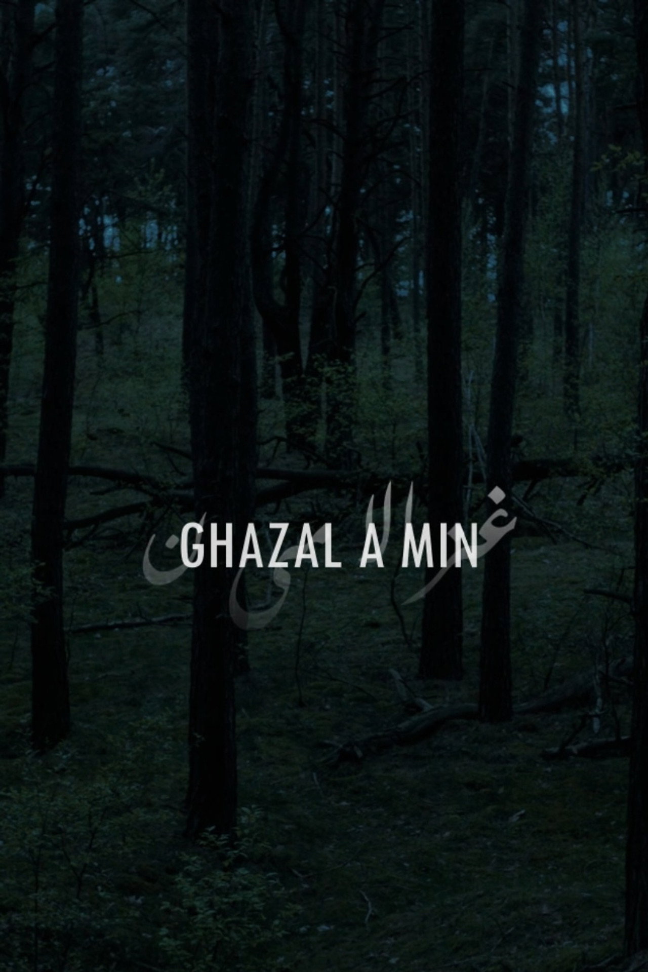 Ghazal A Min filmaffisch