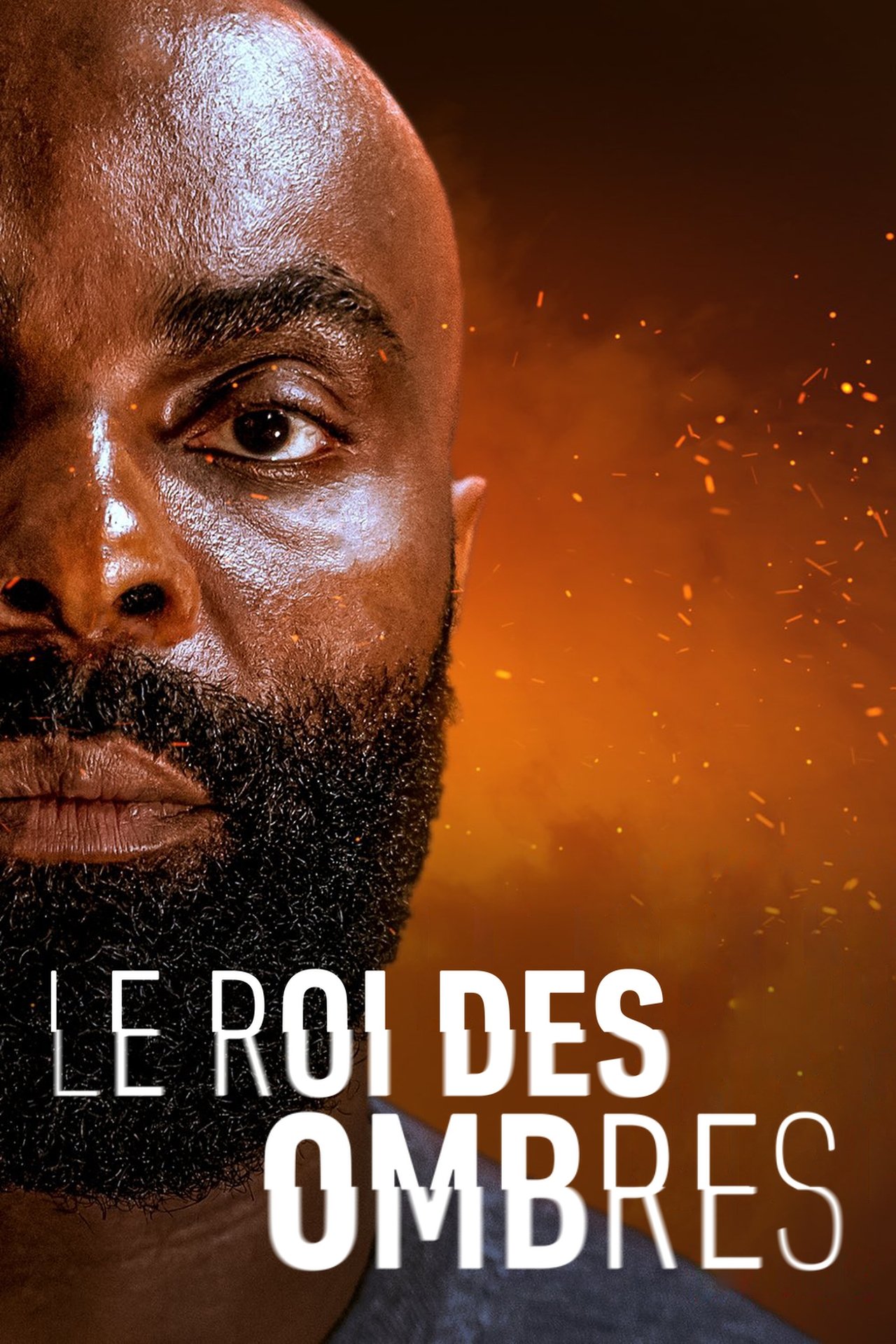 Le Roi des Ombres poster