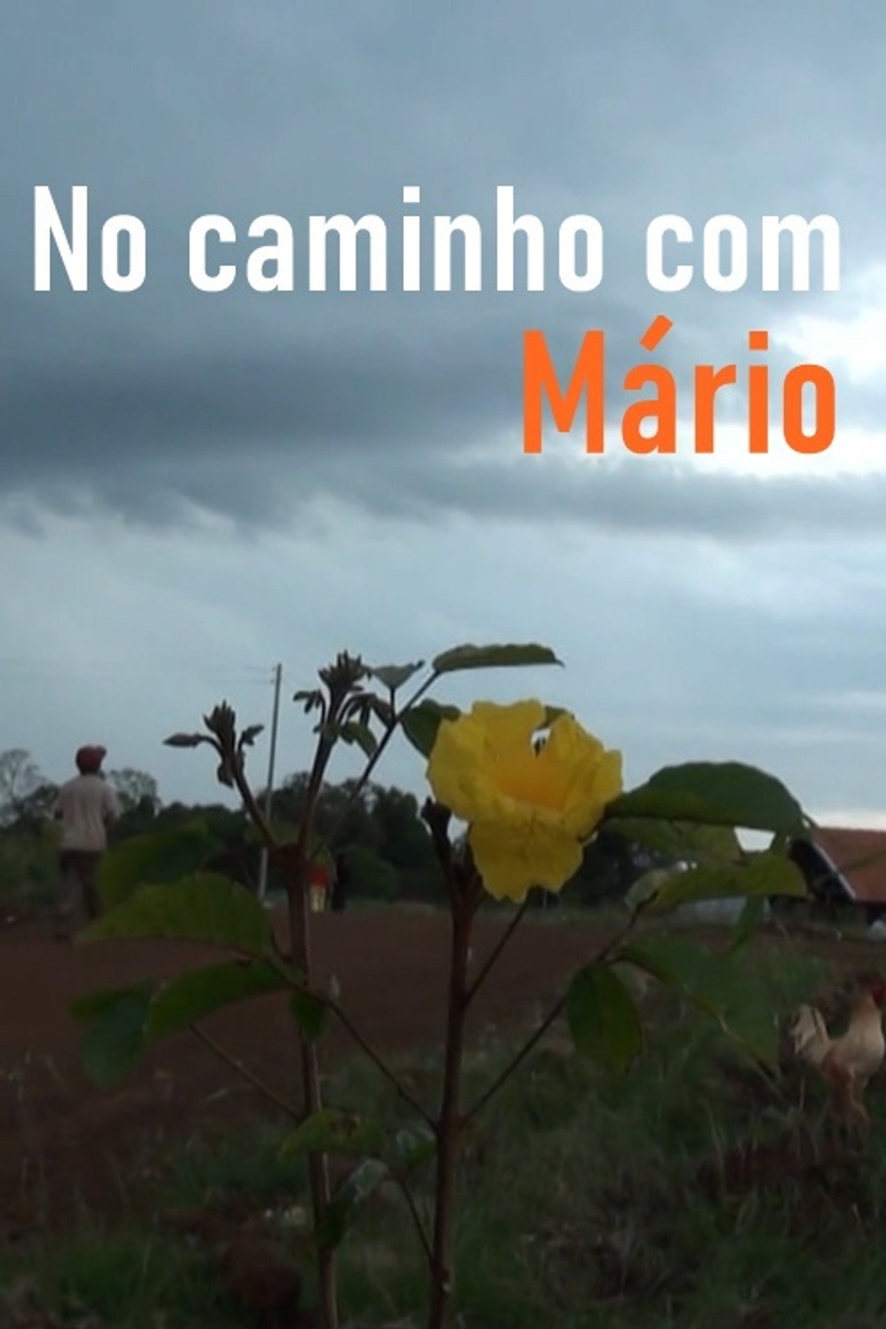 No Caminho com Mário filmaffisch
