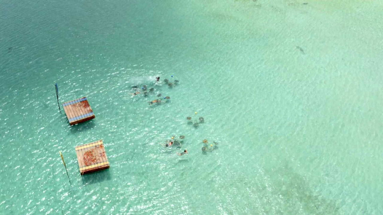 Robinson - Season 21 Episode 13 : Episode 13