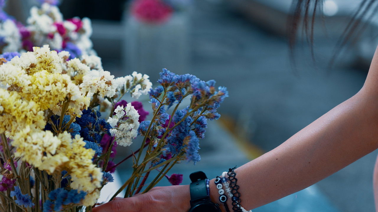 In lunghezza e in larghezza backdrop image