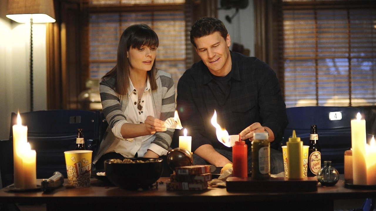 Bones - Season 6 Episode 16 : The Blackout in the Blizzard