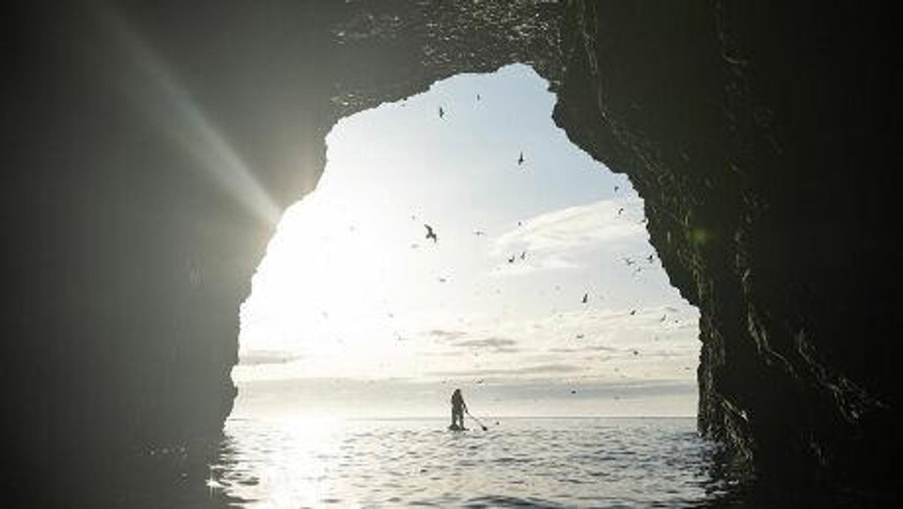 Tides and Predators - The Wild West and North coasts