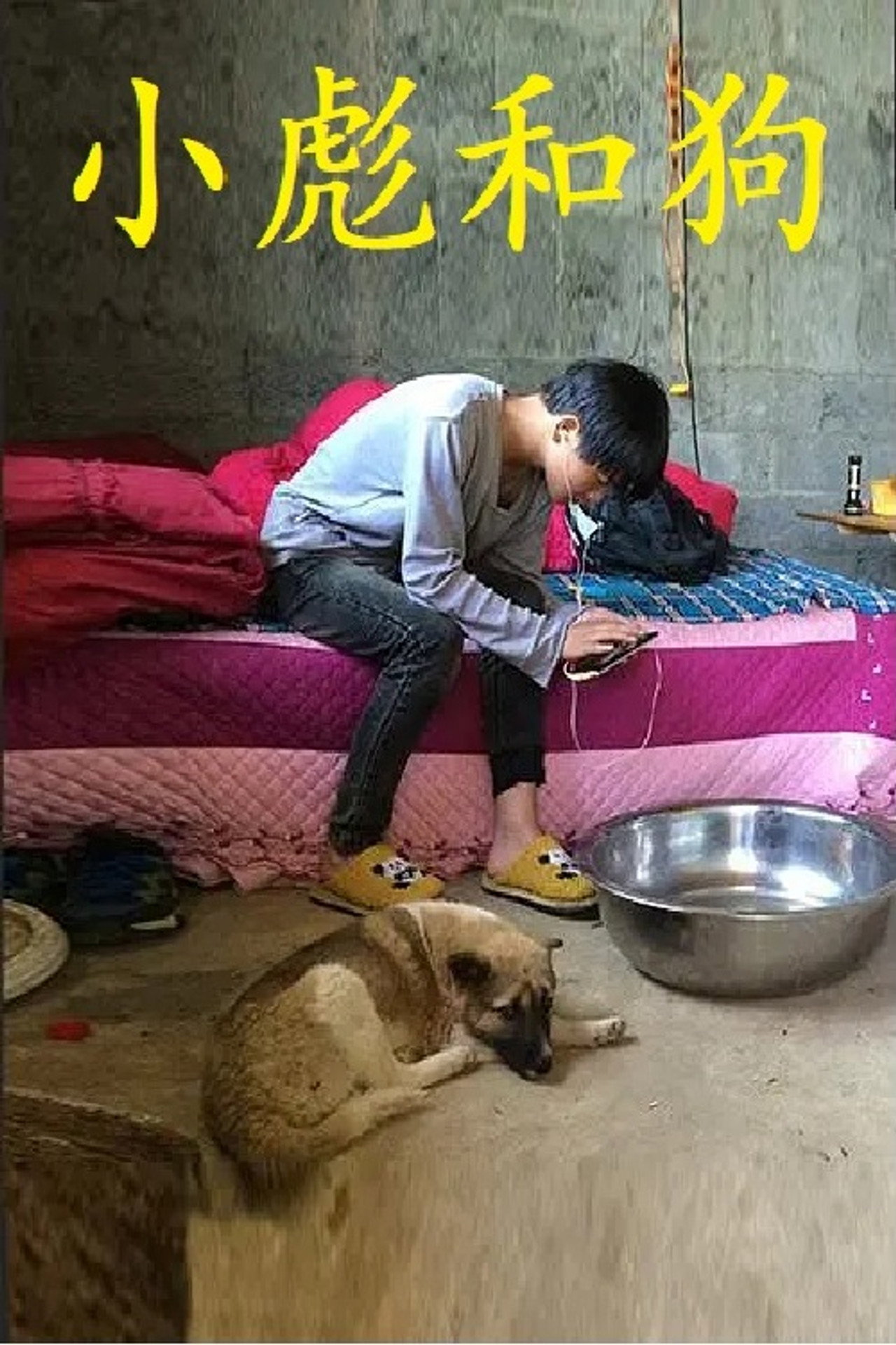 小彪和狗 filmaffisch