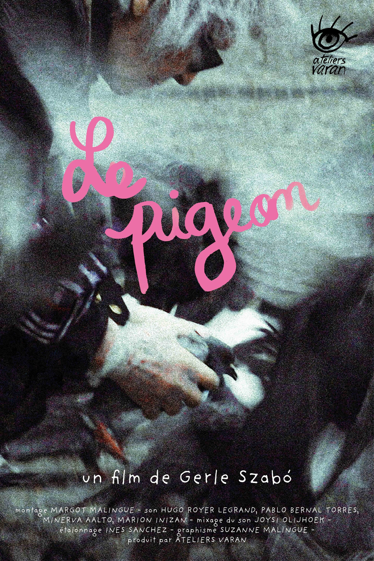 The Pigeon poster