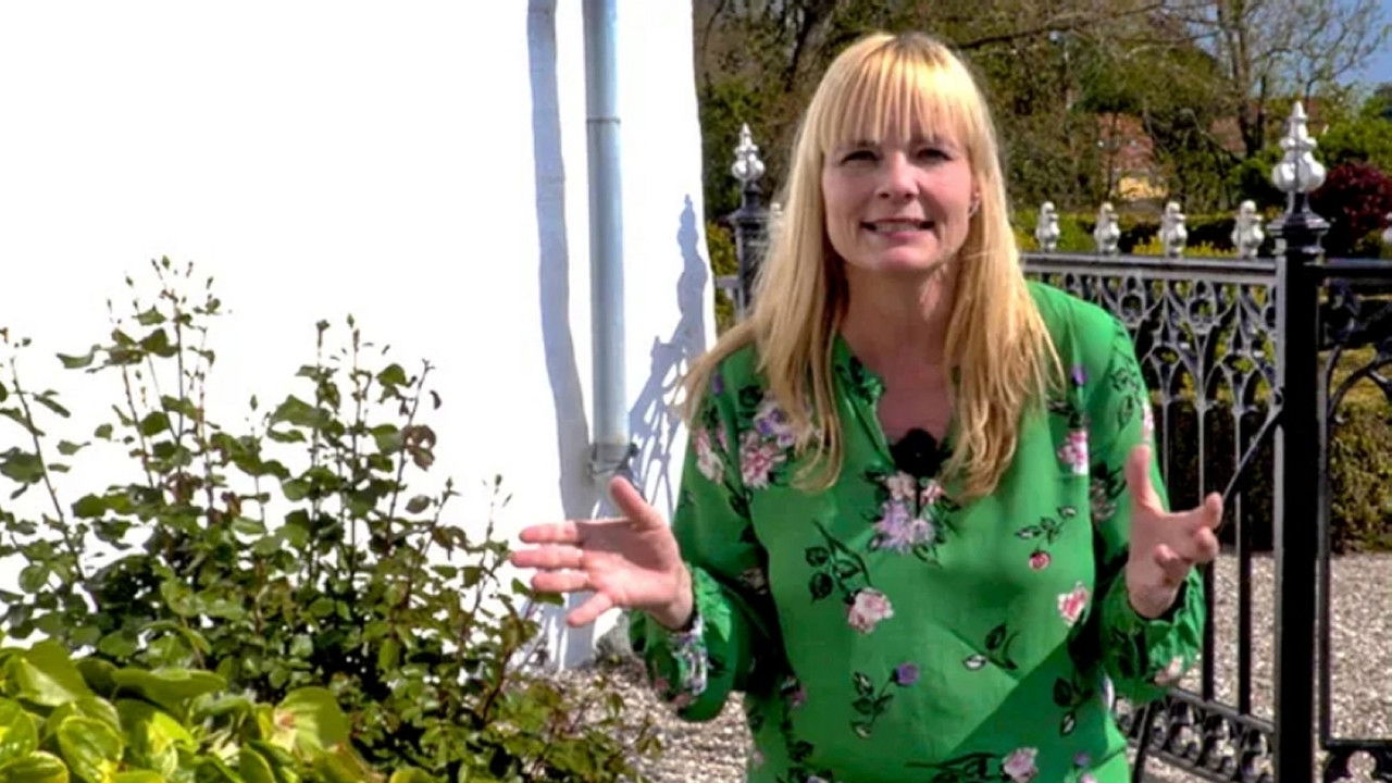 Danmarkshistorien på vrangen — Épisode 2