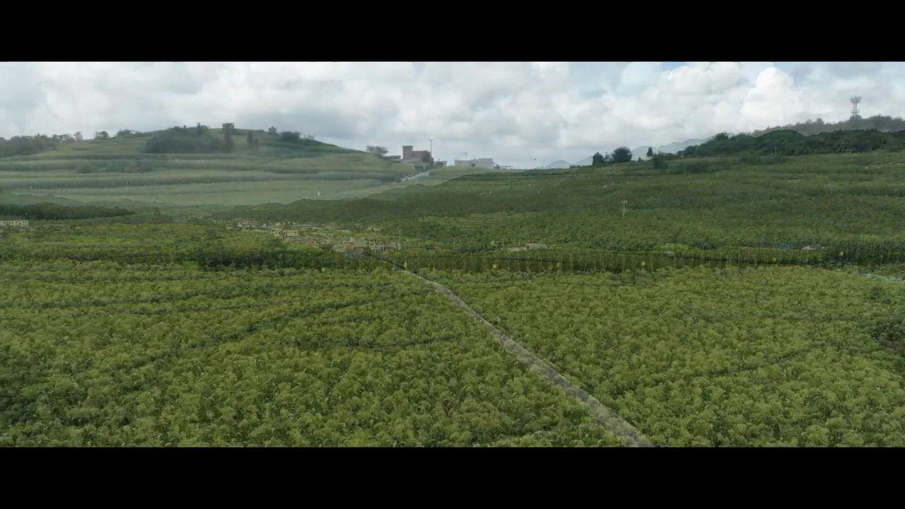 乌蒙深处 — Épisode 19