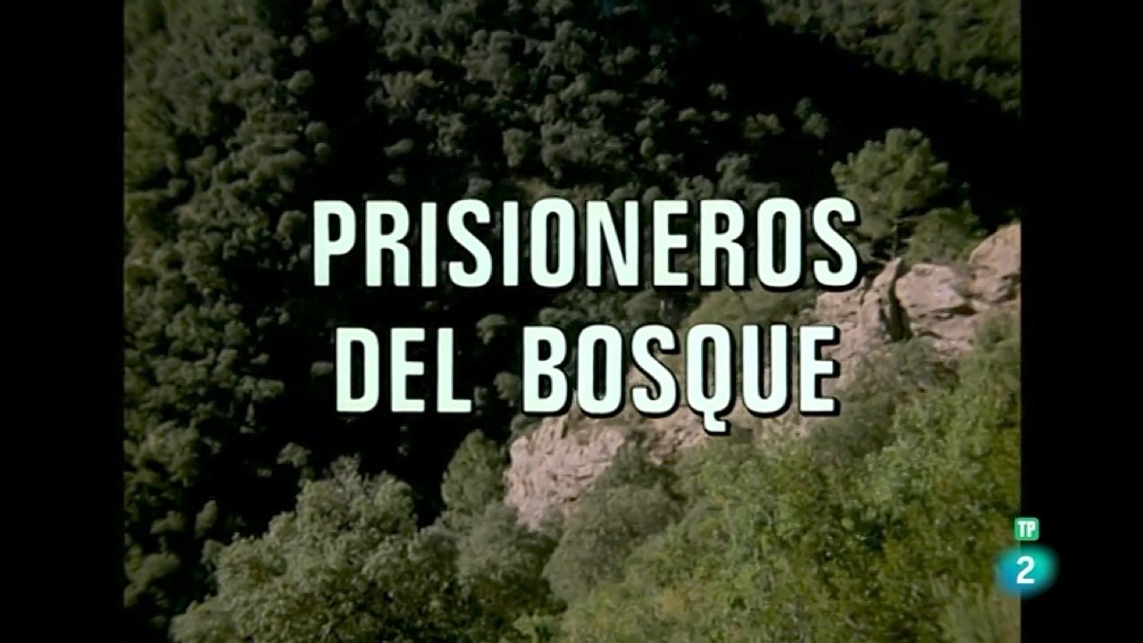 Prisoners of the forest I