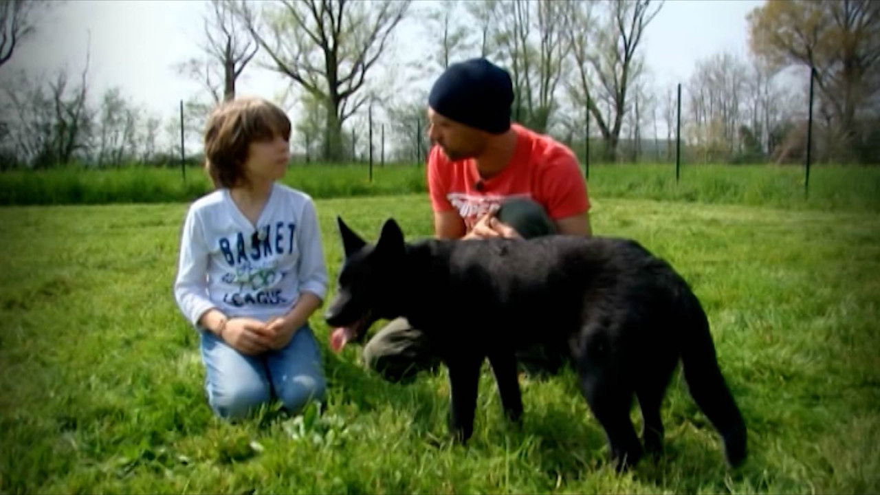 Missione cuccioli — Épisode 2