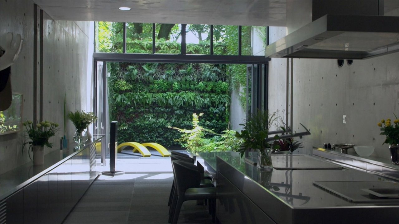 Tadao Ando: Samurai Architect