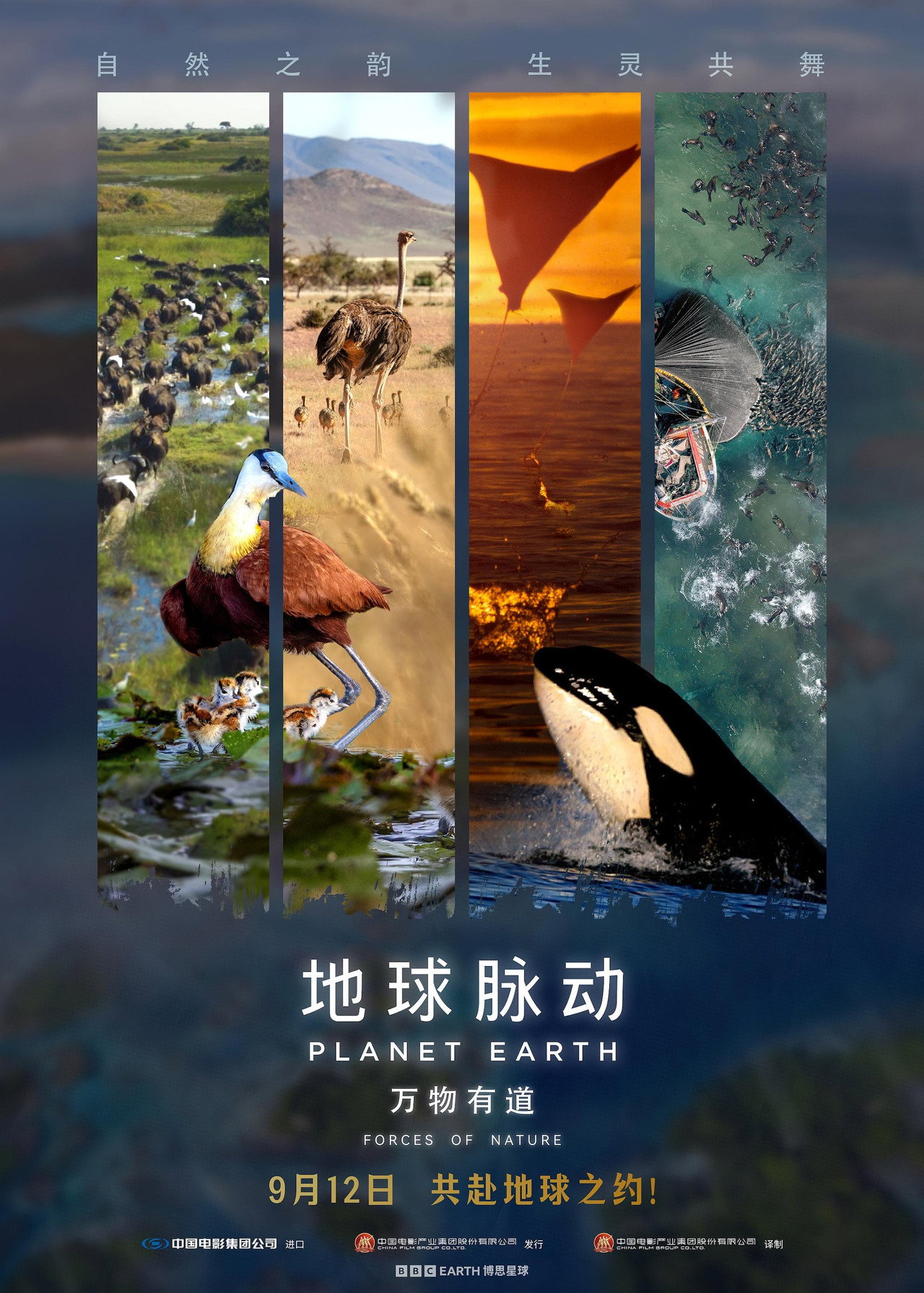 Planet Earth: Forces of Nature