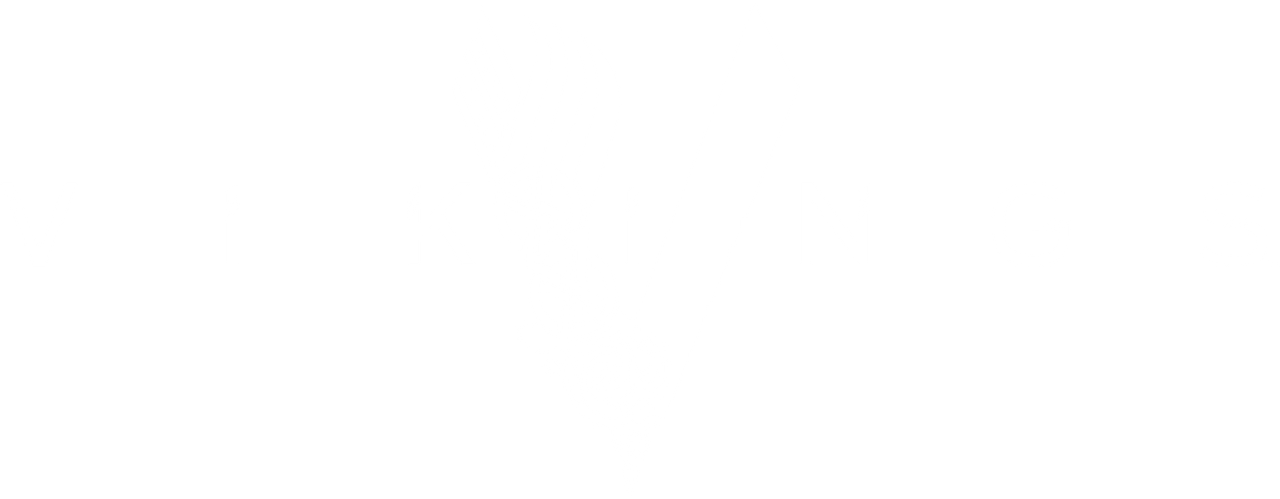 Викинги
