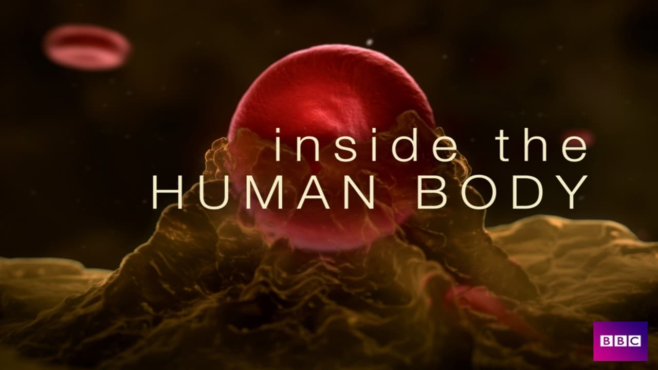 Inside the Human Body Backdrop Image