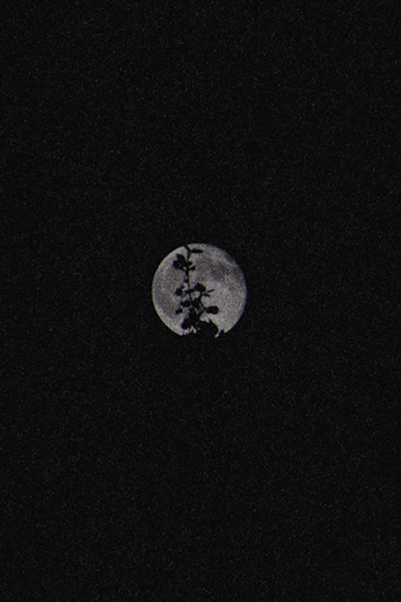 Lunar Visions II