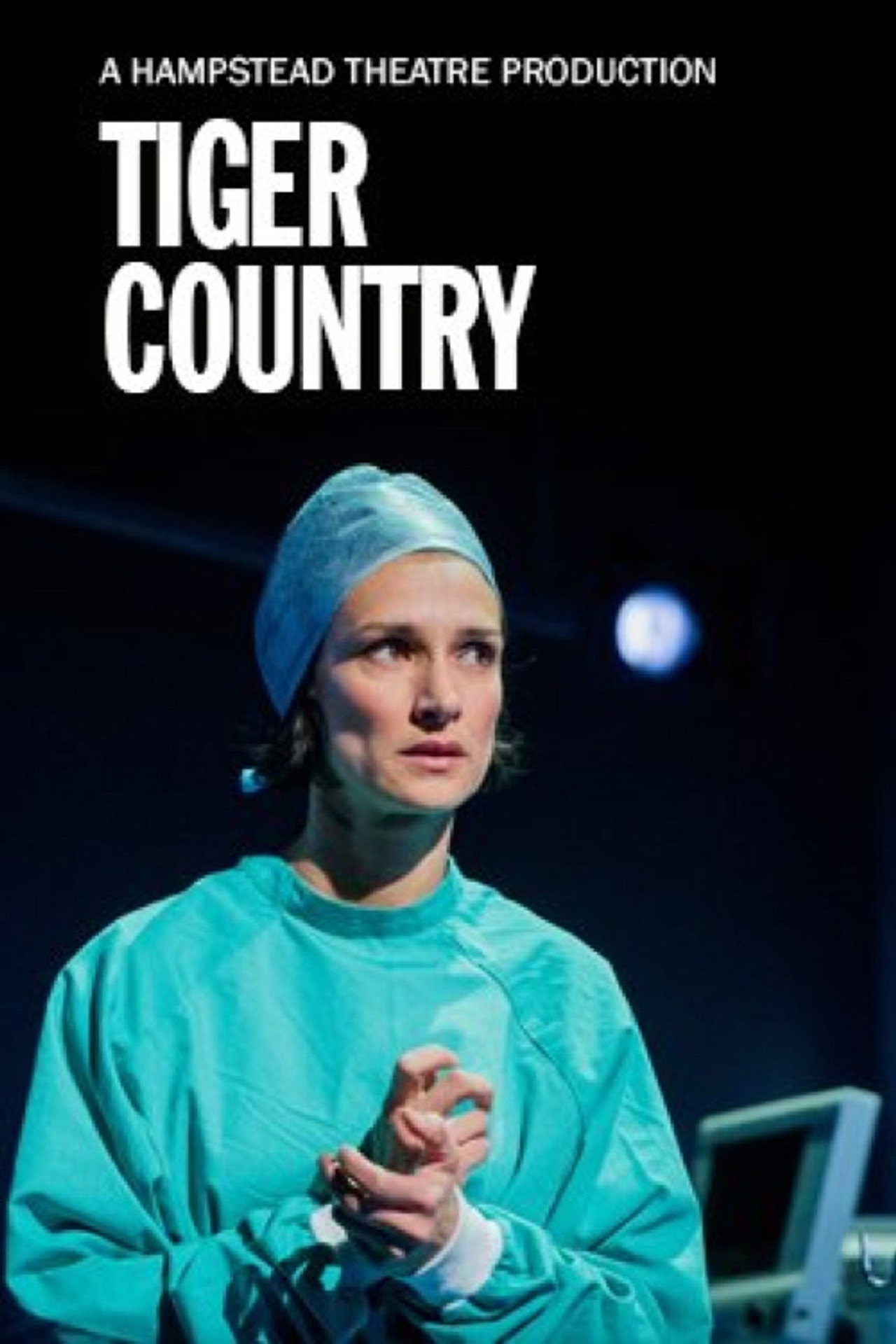 Hampstead Theatre At Home: Tiger Country filmaffisch