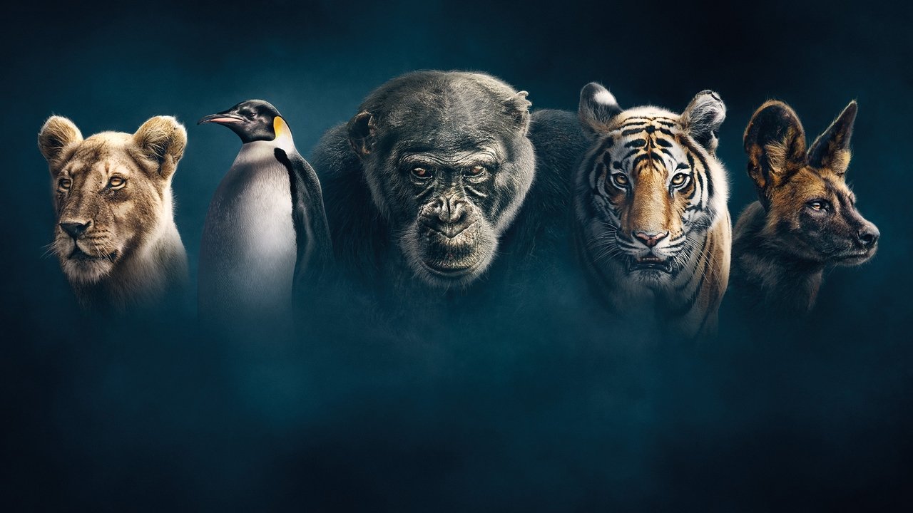 Dynasties İzle