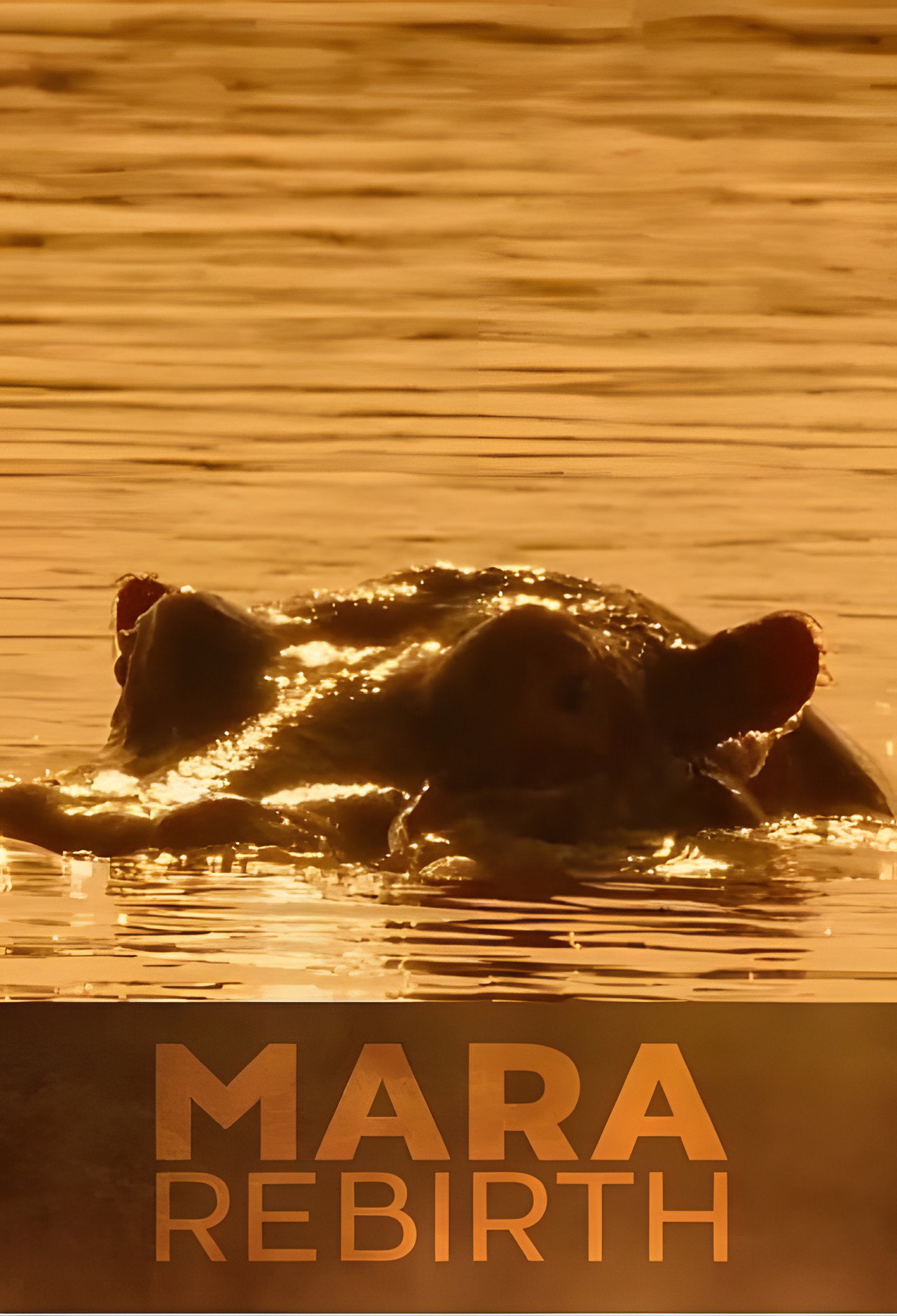 Mara: Rebirth affisch