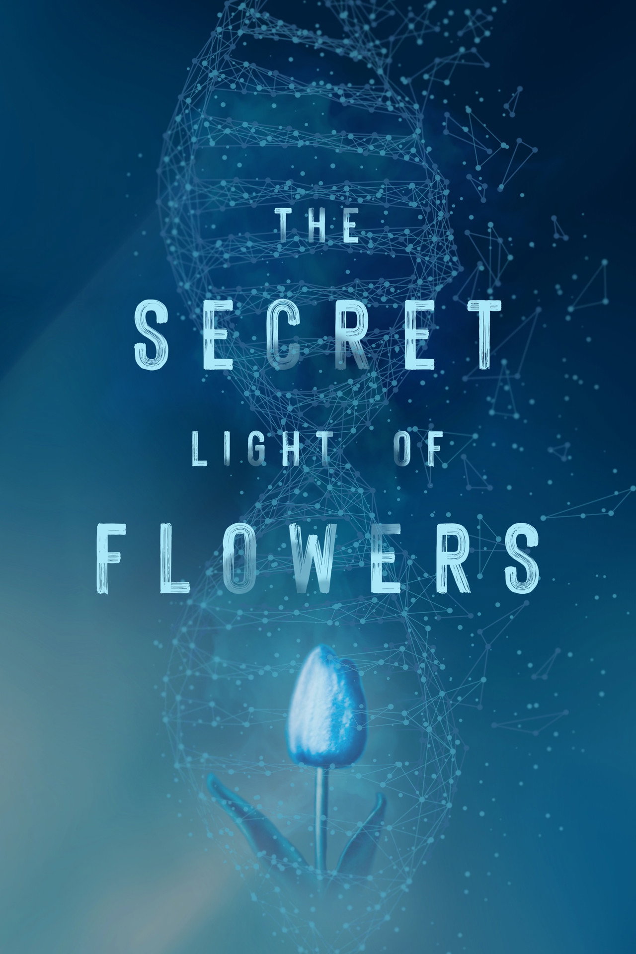 The Secret Light of Flowers filmaffisch