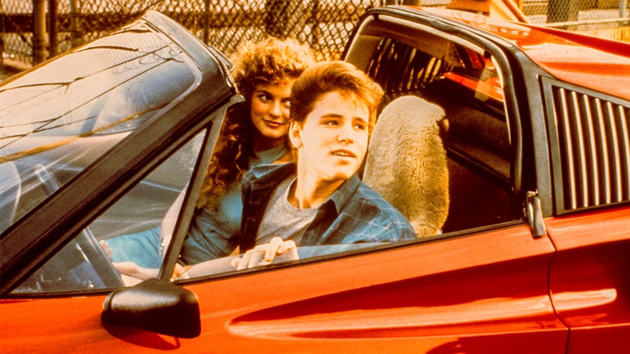 License to Drive background