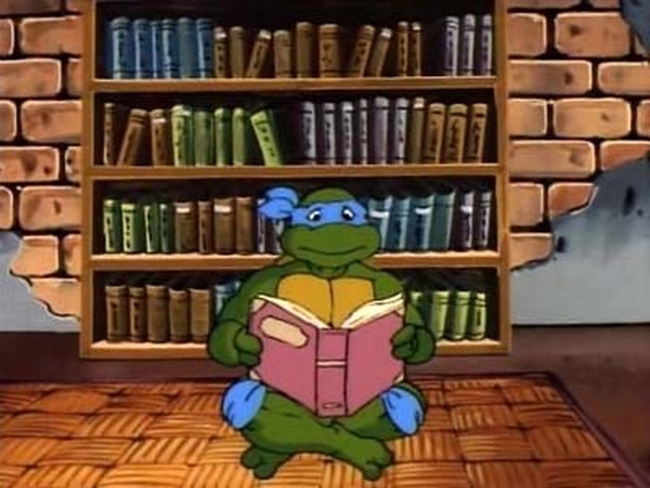 Teenage Mutant Ninja Turtles - Season 6 Episode 12 : Leonardo Is Missing