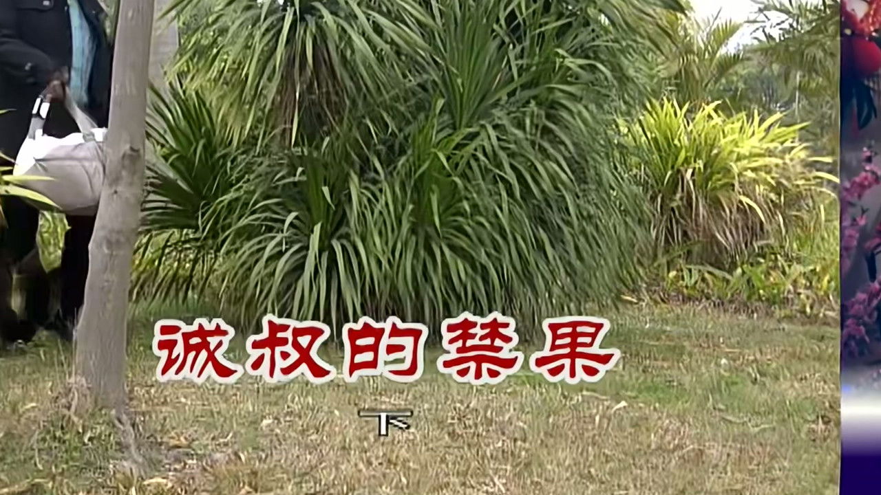 外来媳妇本地郎 — Épisode 2521