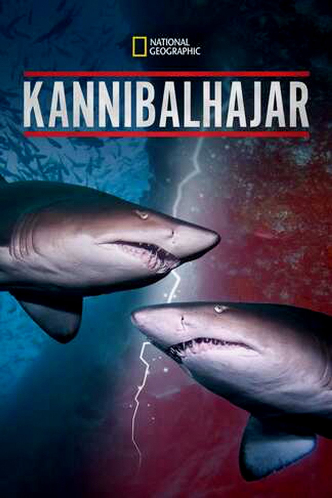 Kannibalhajar filmaffisch
