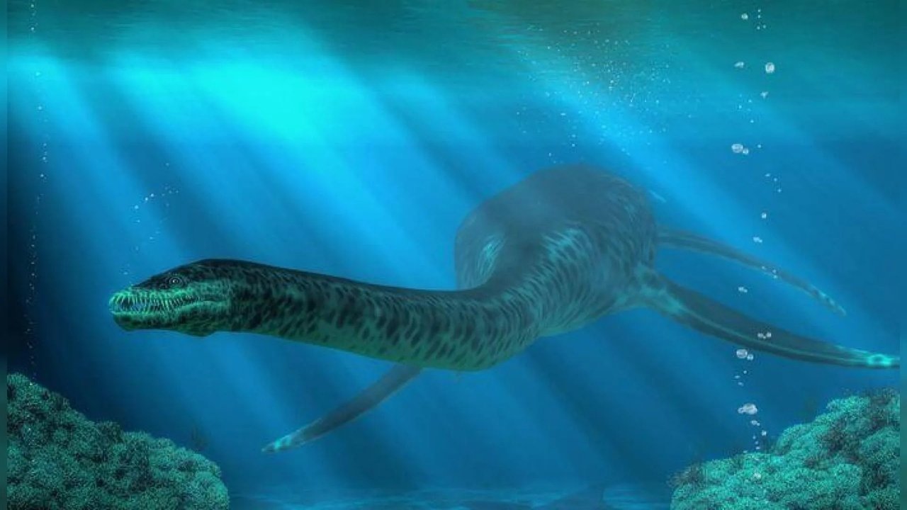 The Best of MonsterQuest