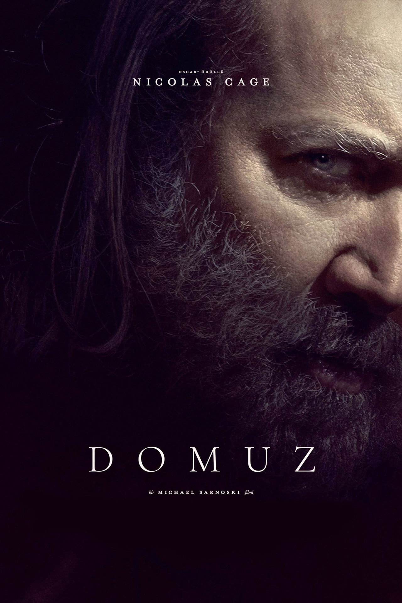 Domuz Poster