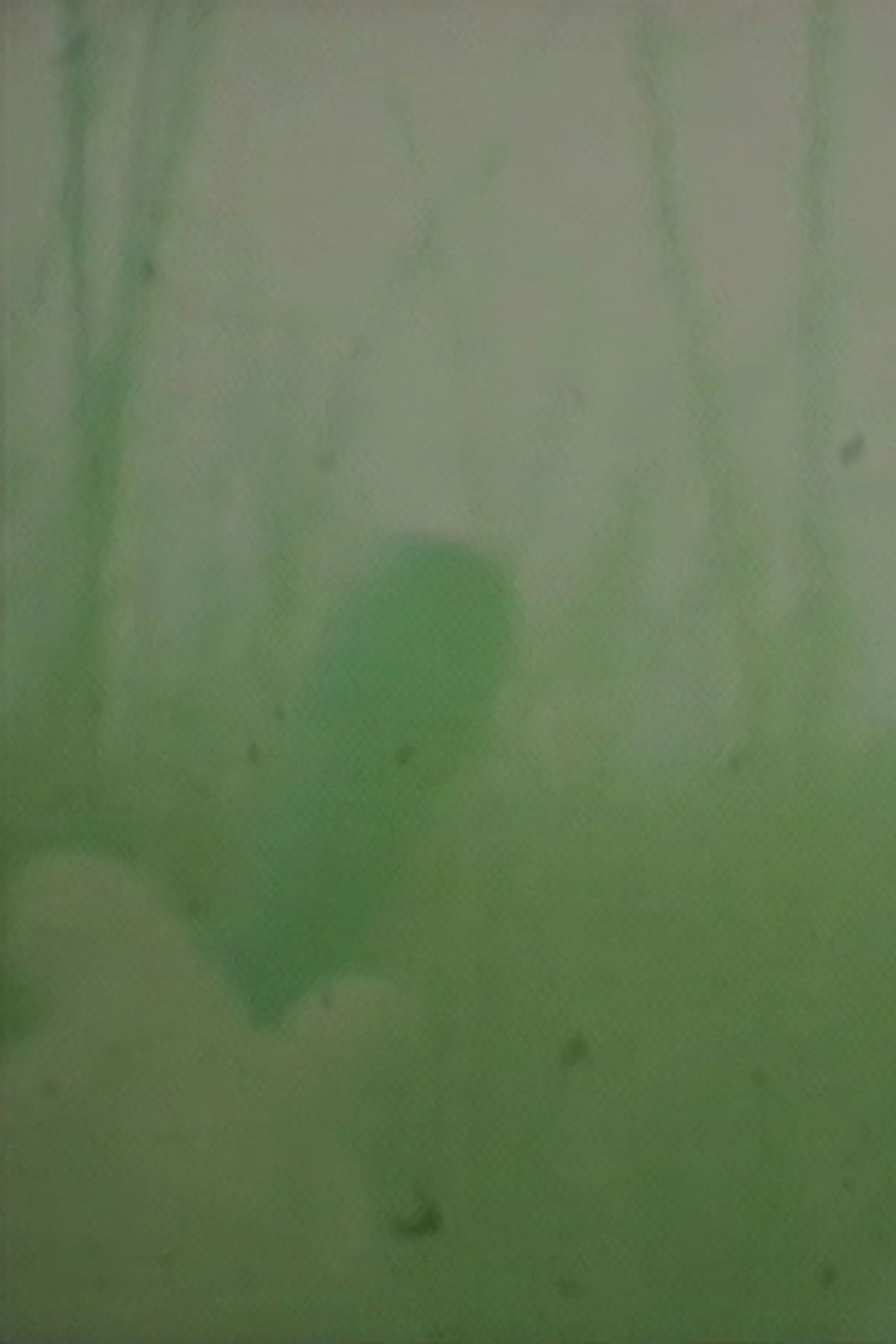 Oto o Karu filmaffisch