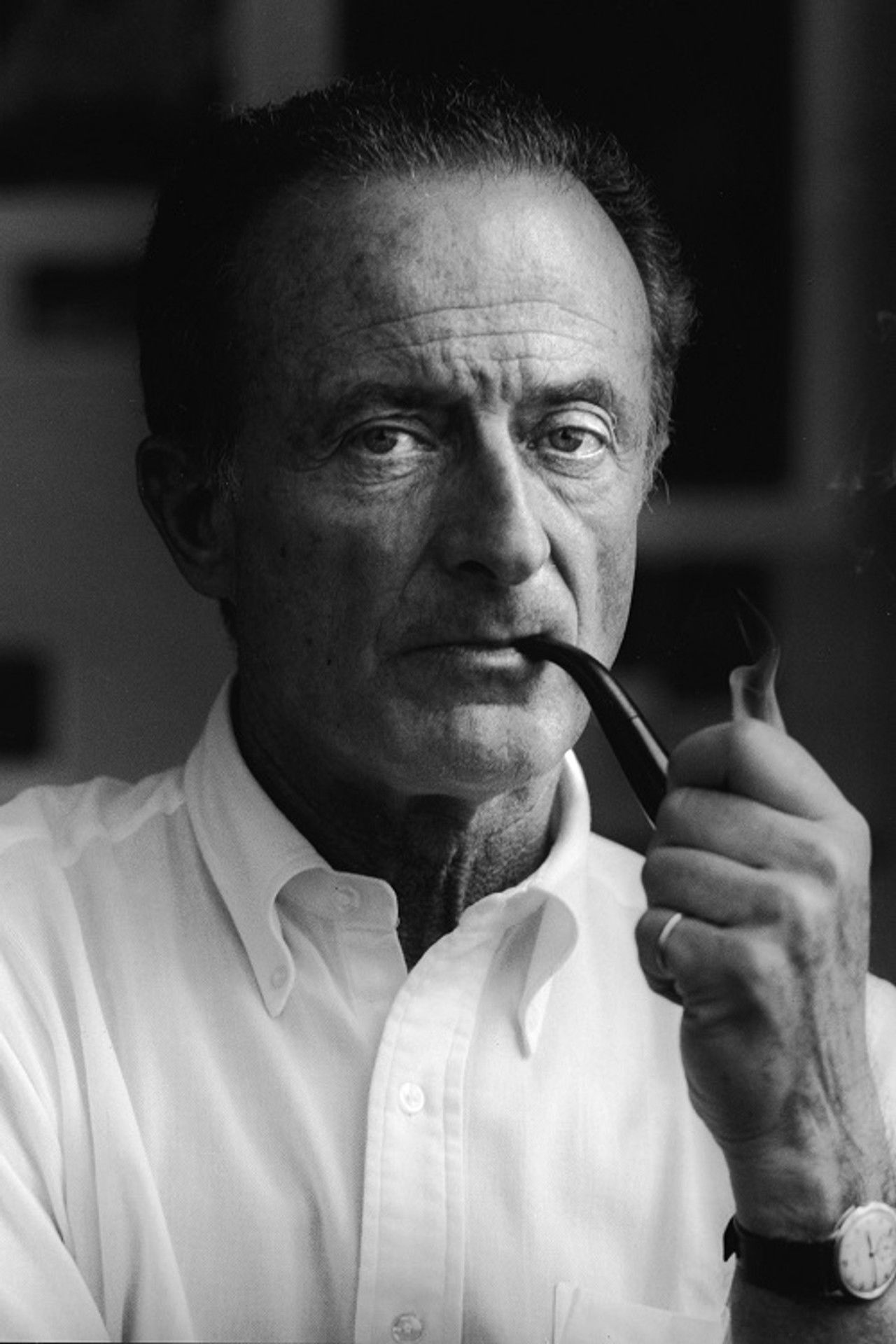 Fred Zinnemann: A Director's Life Backdrop