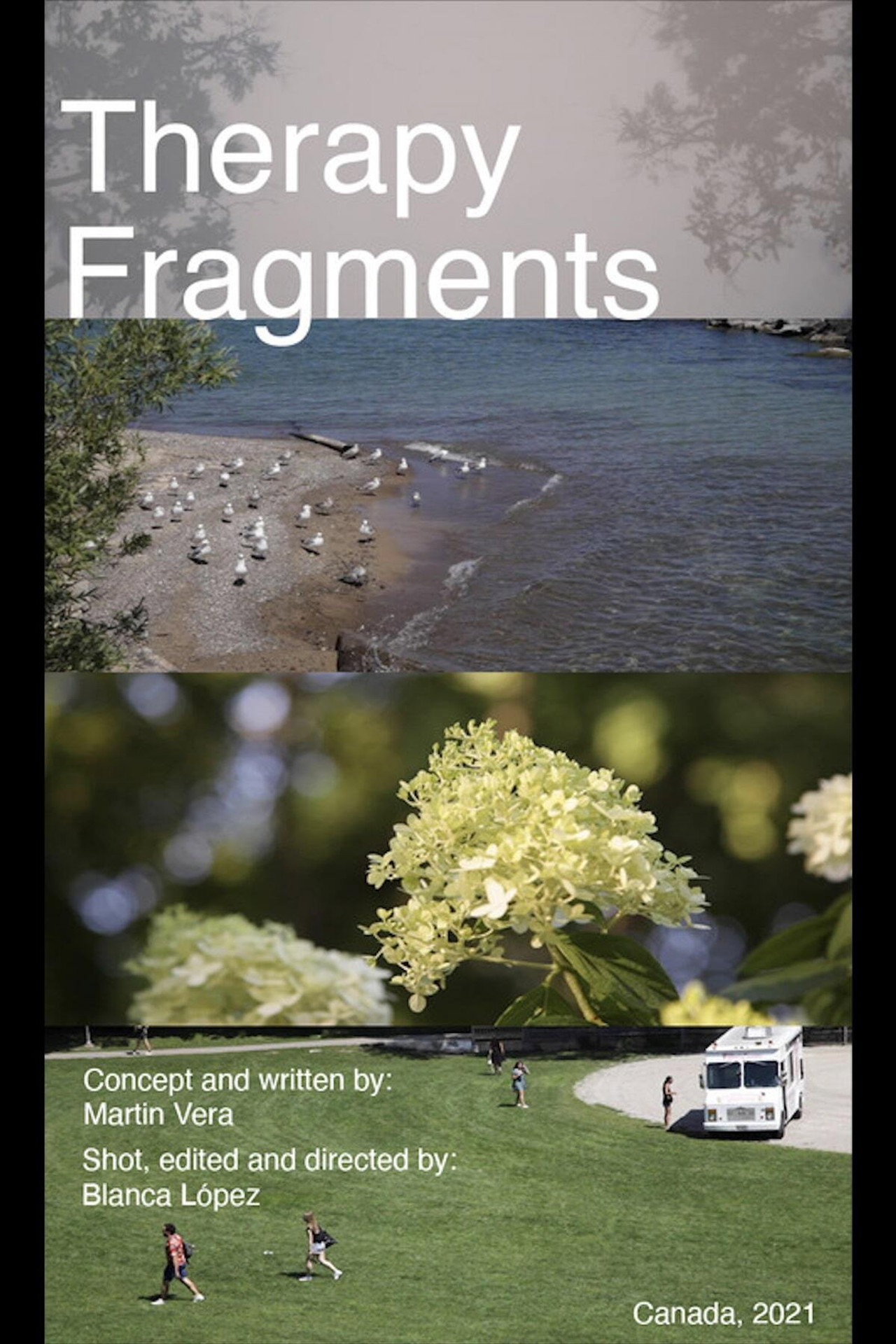 Therapy Fragments