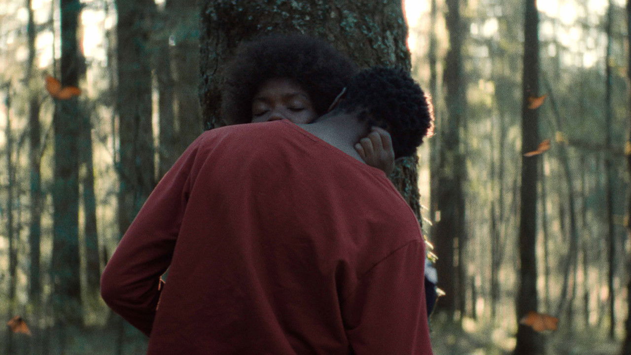 The Garden We Dreamed