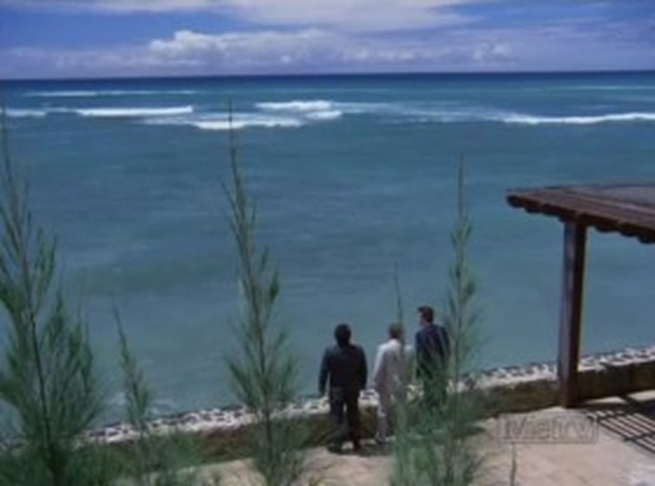 Hawaii Five-O - Season 4 Episode 13 : Is This Any Way To Run A Paradise?