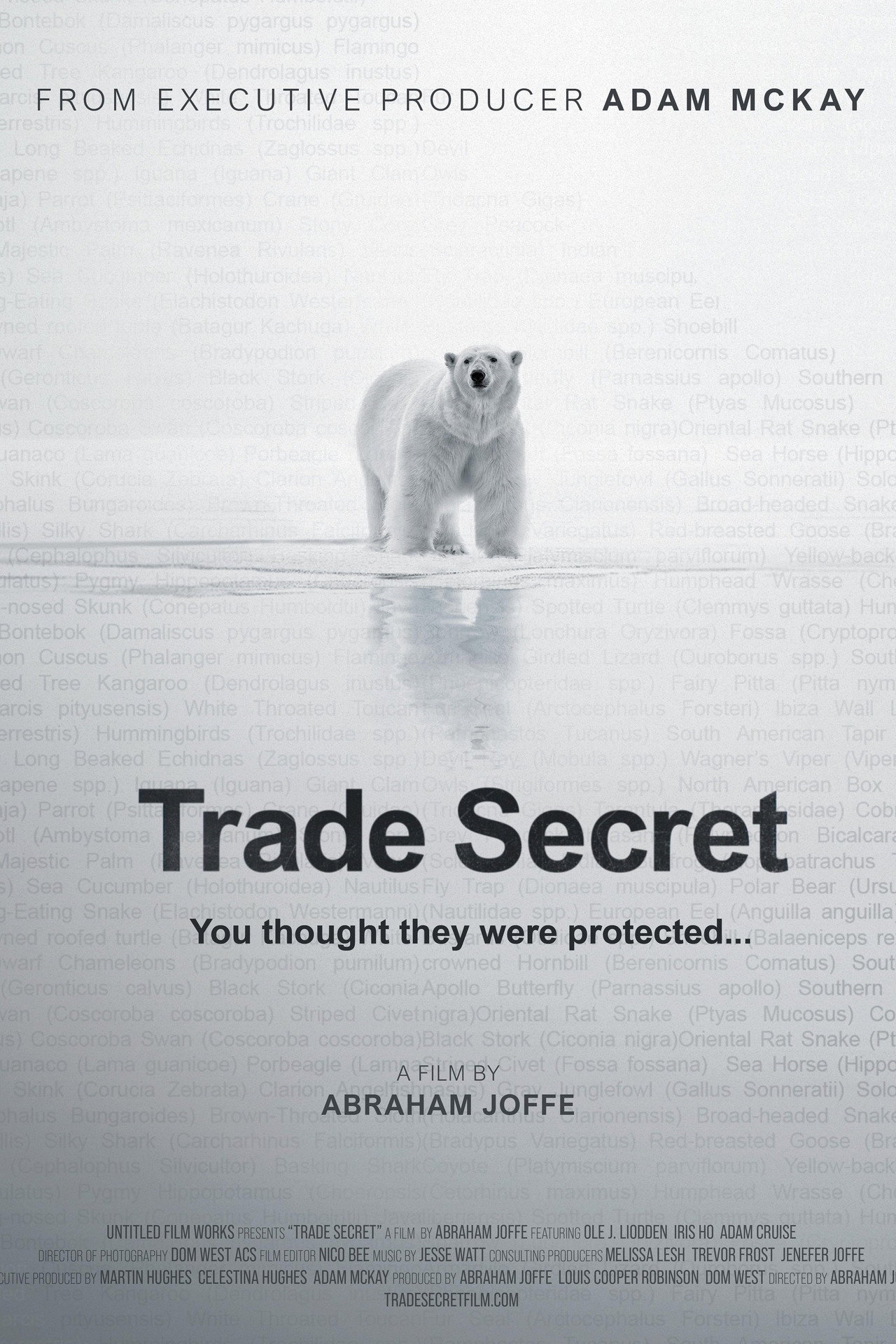 Trade Secret