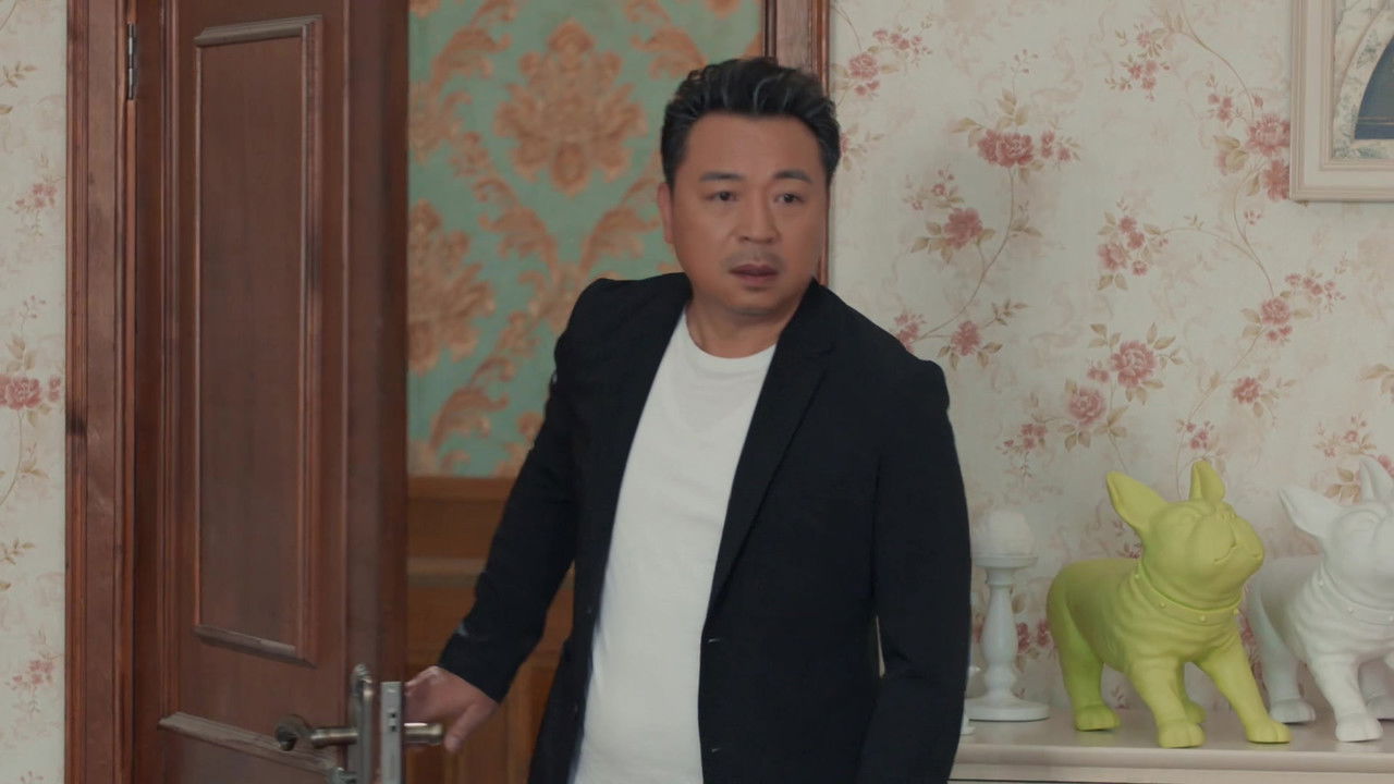 归去来 — Épisode 28