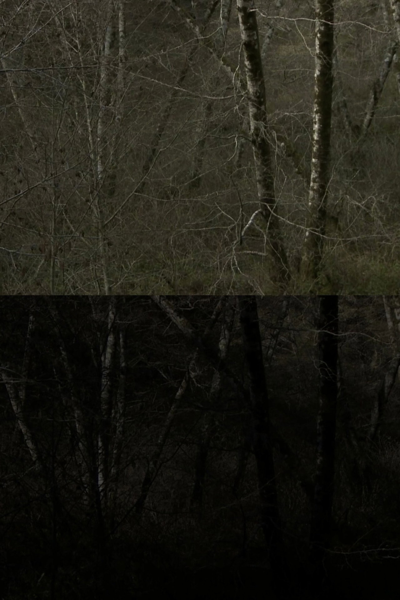 SWANTON ROAD