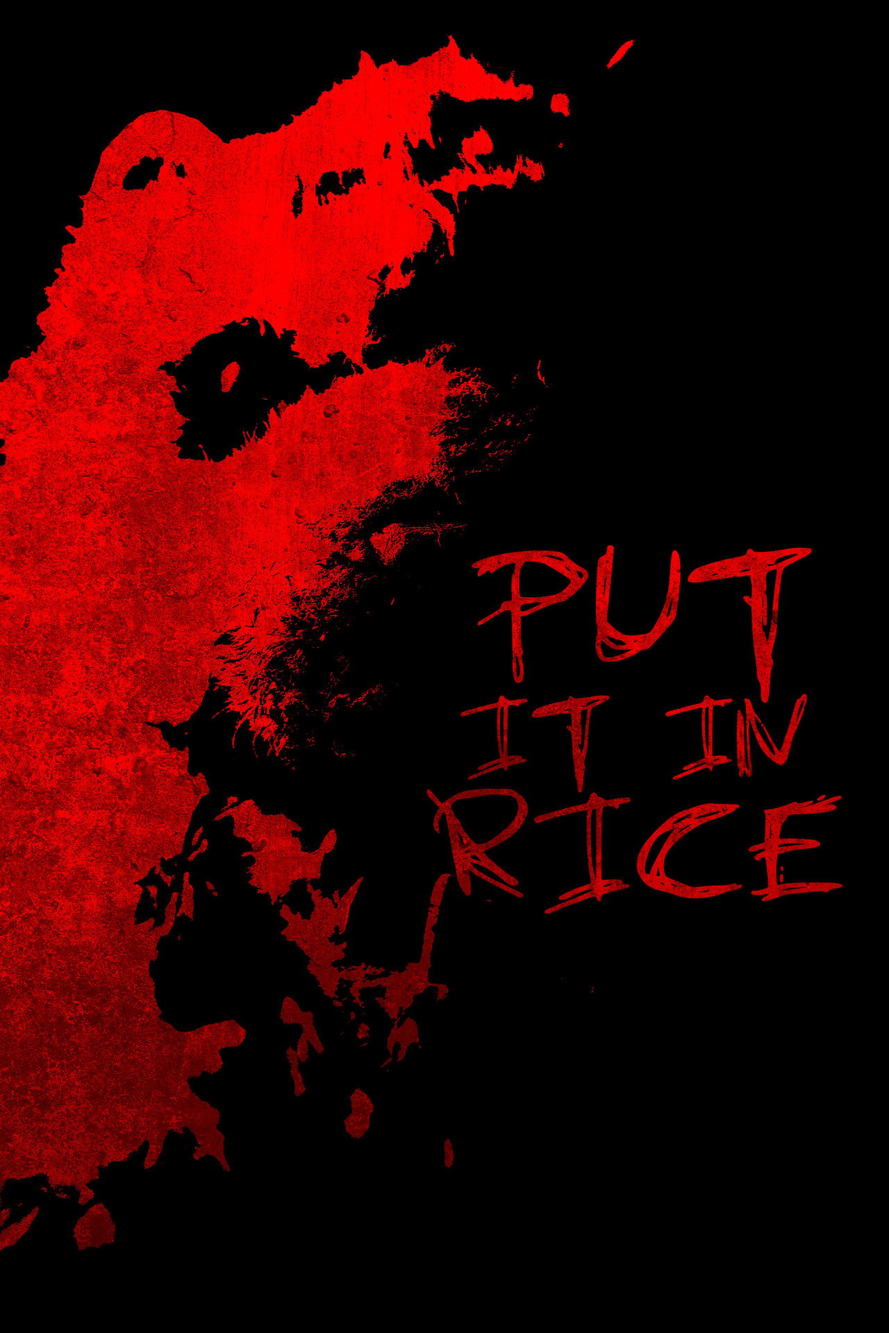 Put It In Rice filmaffisch